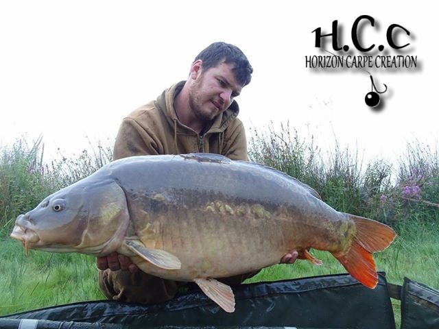 MICKAEL LAURENT - TESTEUR HCC