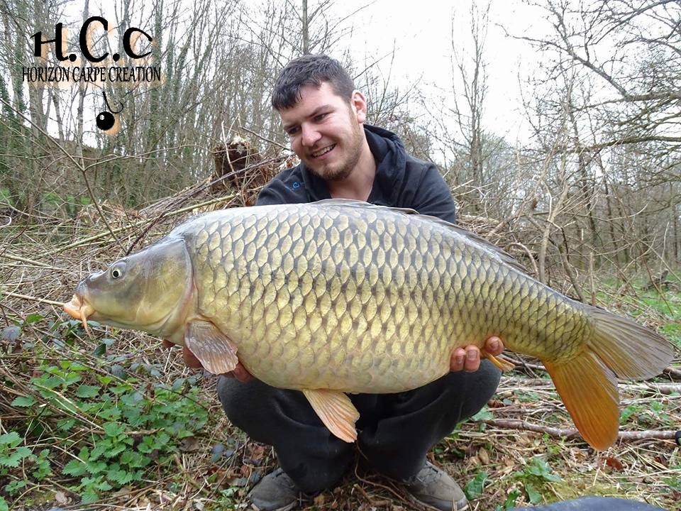 MICKAEL LAURENT - TESTEUR HCC