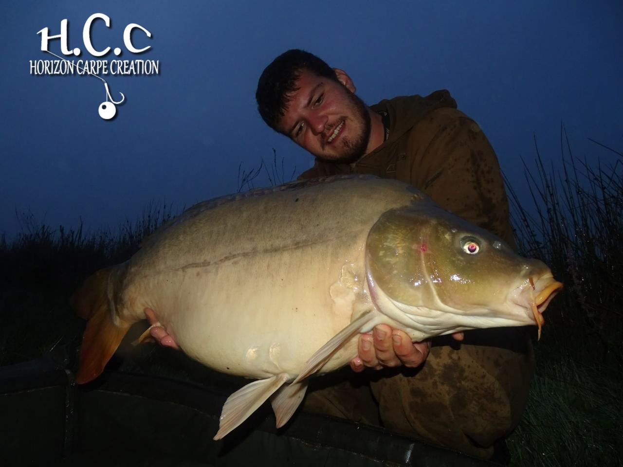 MICKAEL LAURENT - TESTEUR HCC