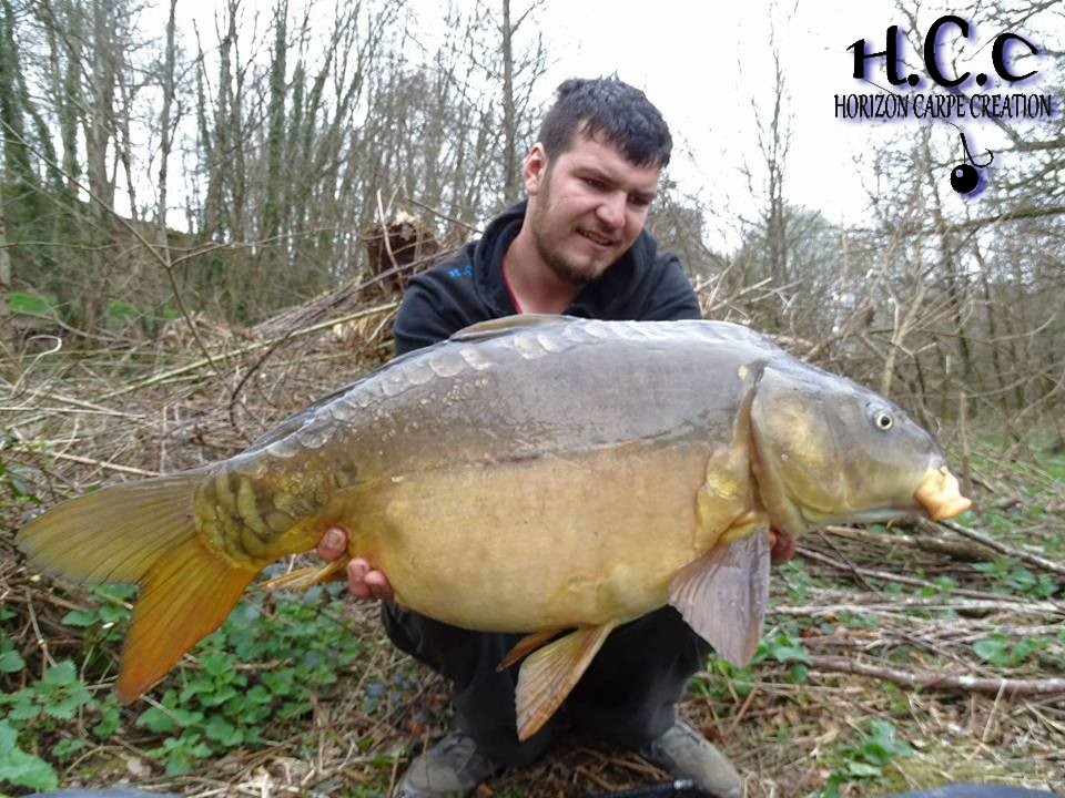 MICKAEL LAURENT - TESTEUR HCC