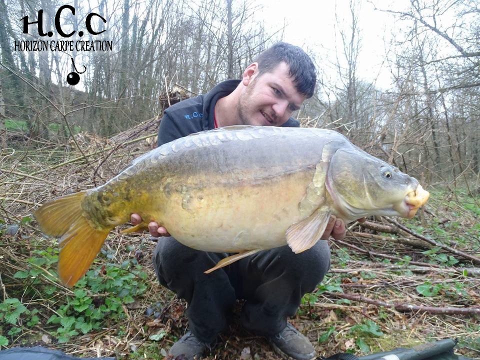 MICKAEL LAURENT - TESTEUR HCC