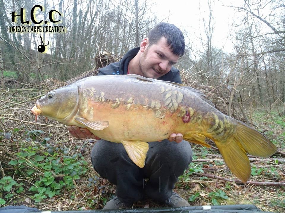 MICKAEL LAURENT - TESTEUR HCC