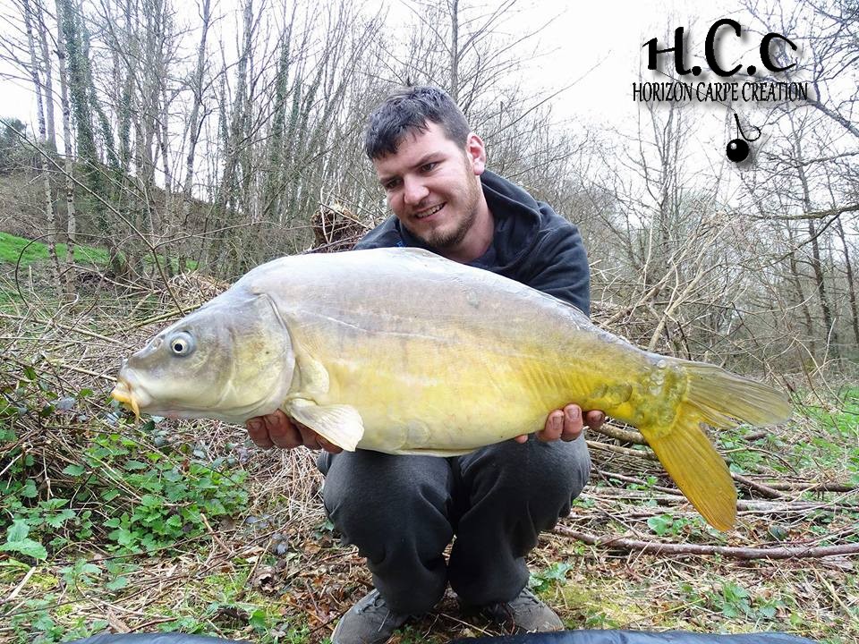 MICKAEL LAURENT - TESTEUR HCC