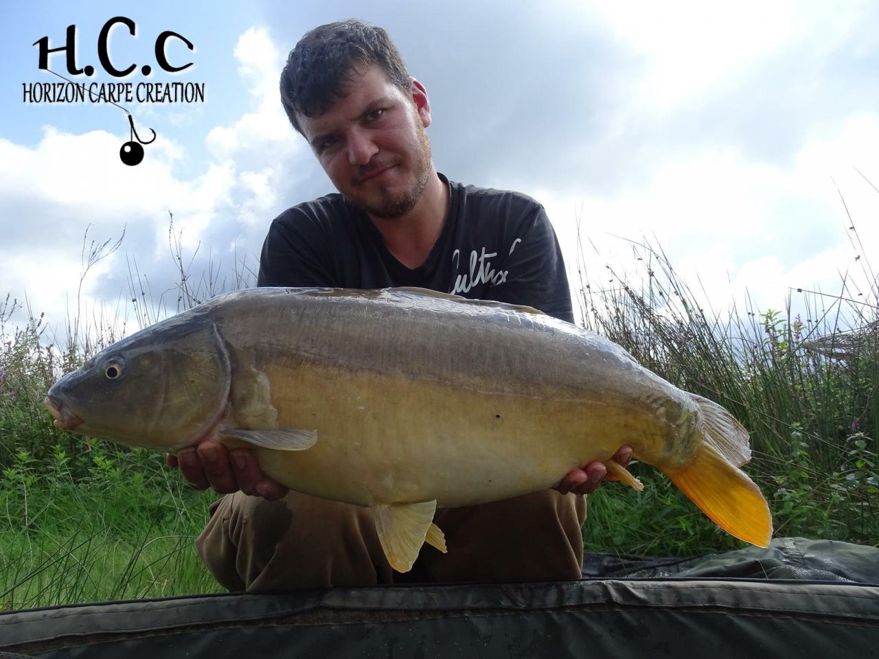 MICKAEL LAURENT - TESTEUR HCC
