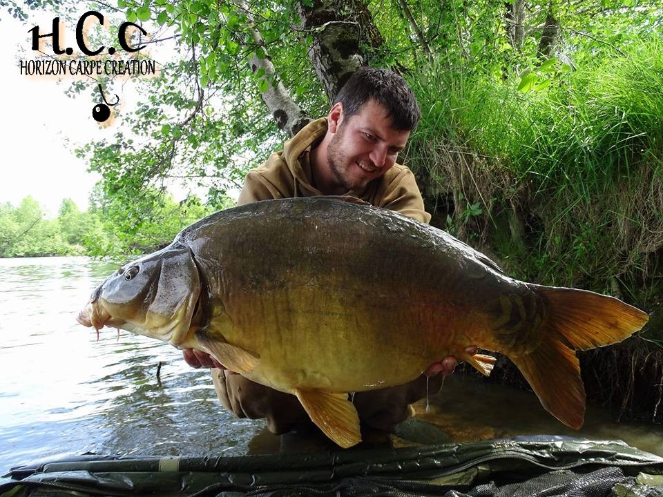 MICKAEL LAURENT - TESTEUR HCC
