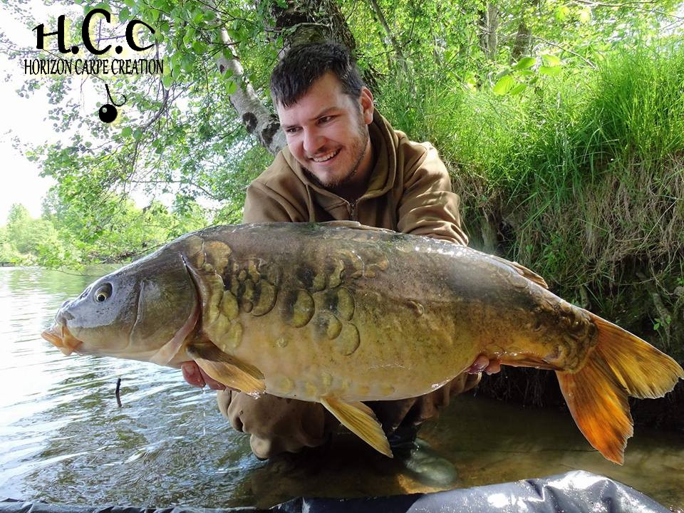 MICKAEL LAURENT - TESTEUR HCC