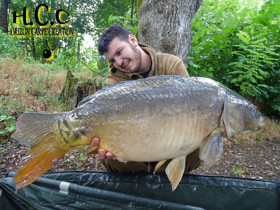 MICKAEL LAURENT - TESTEUR HCC