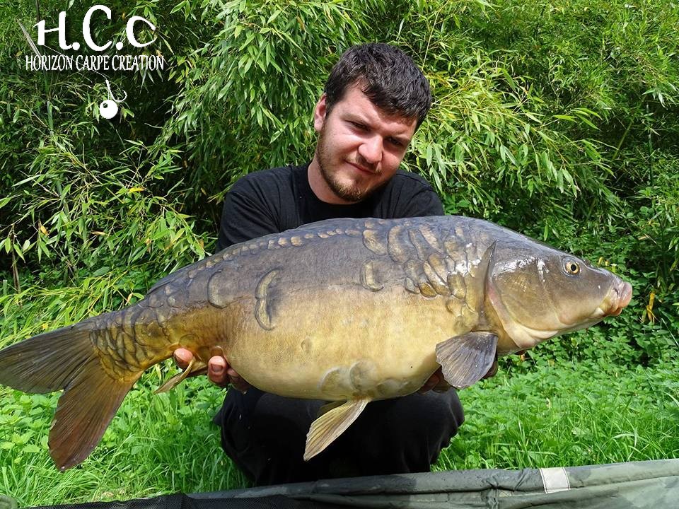 MICKAEL LAURENT - TESTEUR HCC