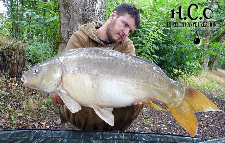 MICKAEL LAURENT - TESTEUR HCC