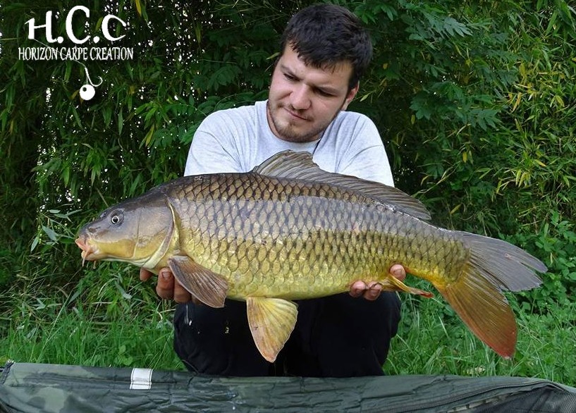 MICKAEL LAURENT - TESTEUR HCC