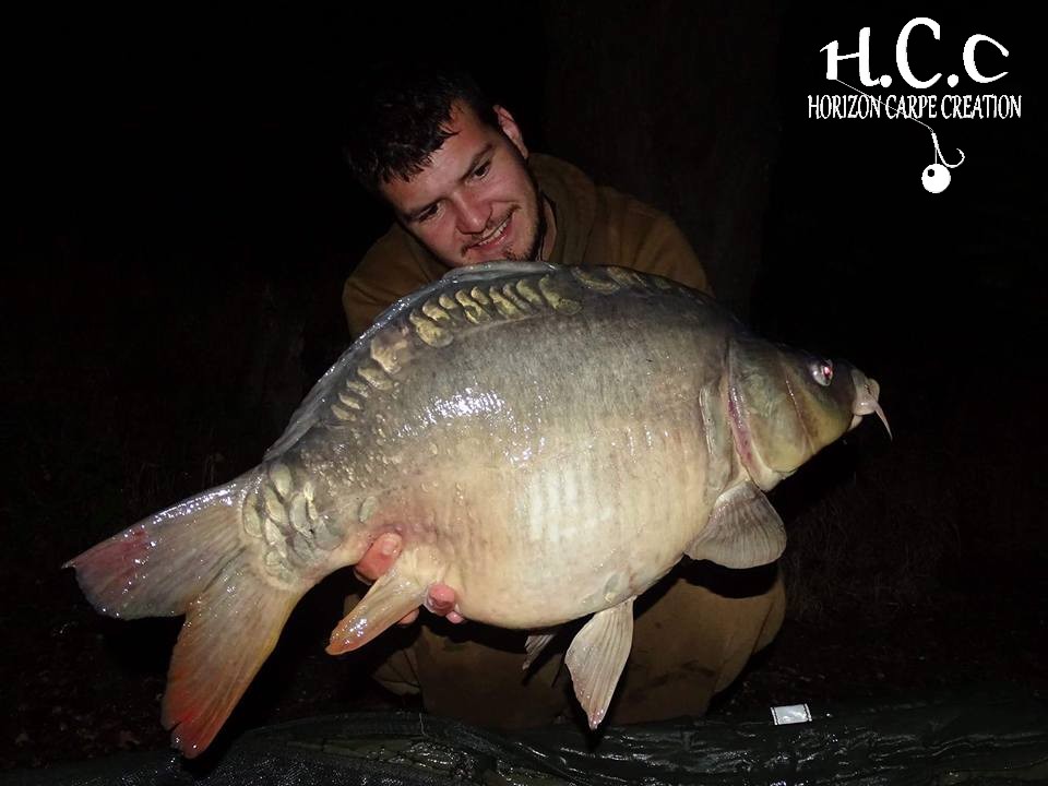 MICKAEL LAURENT - TESTEUR HCC