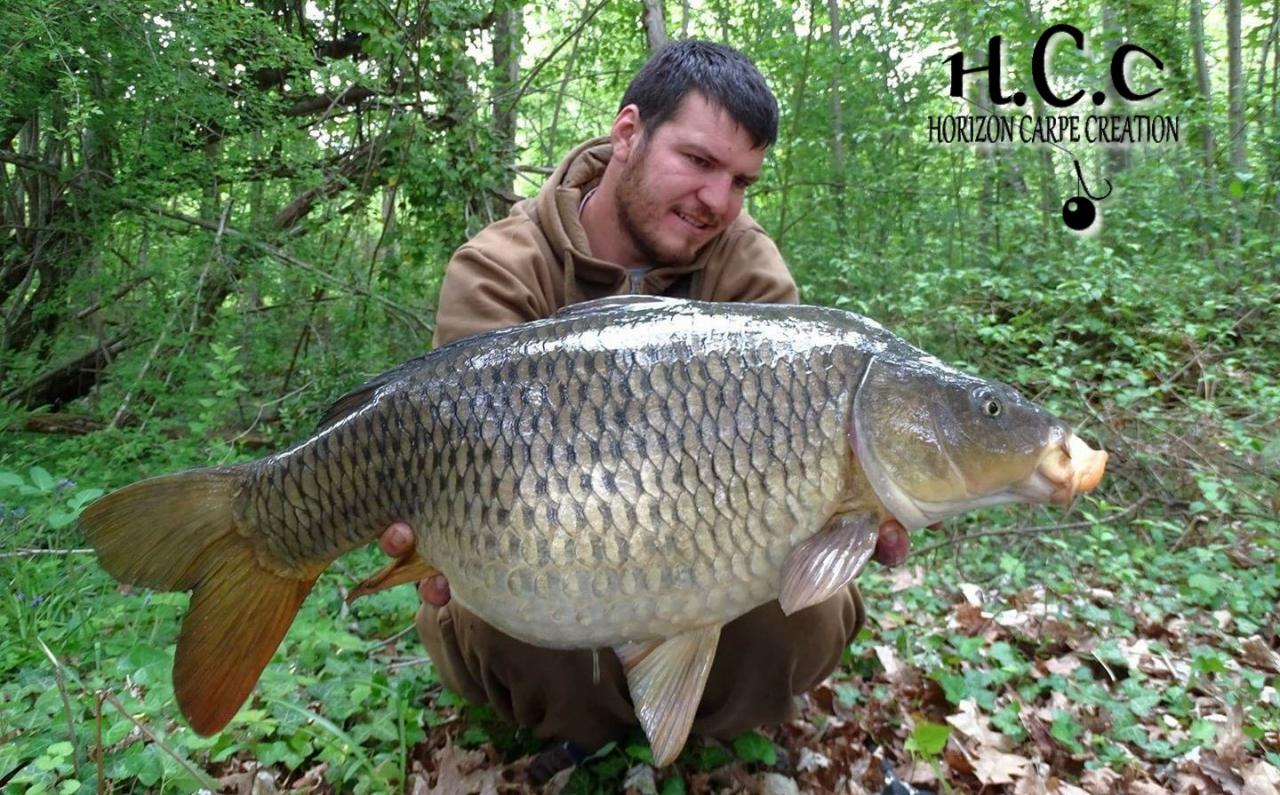MICKAEL LAURENT - TESTEUR HCC