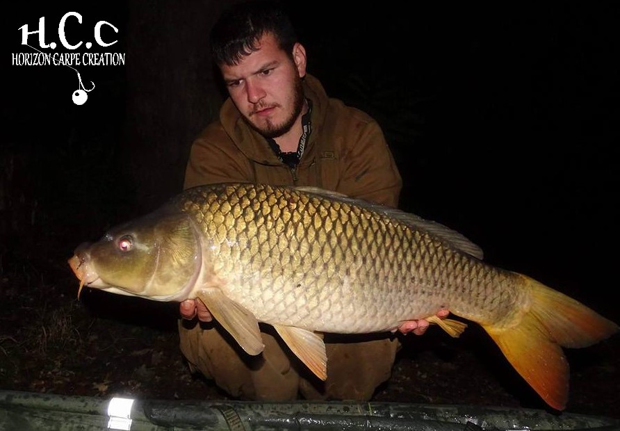 MICKAEL LAURENT - TESTEUR HCC