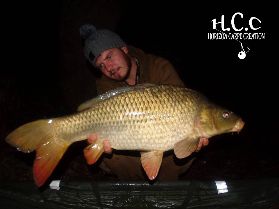 MICKAEL LAURENT - TESTEUR HCC