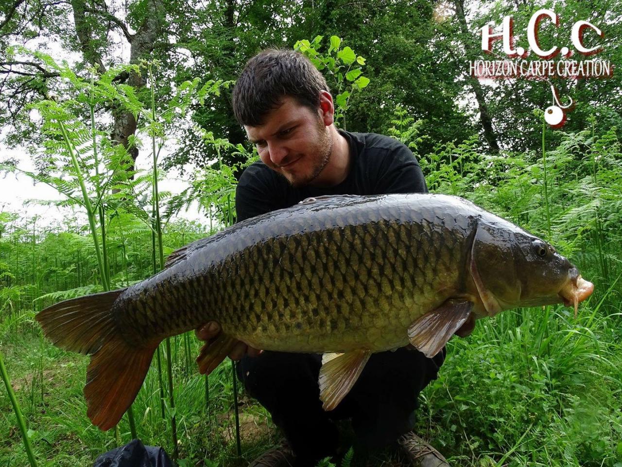 MICKAEL LAURENT - TESTEUR HCC