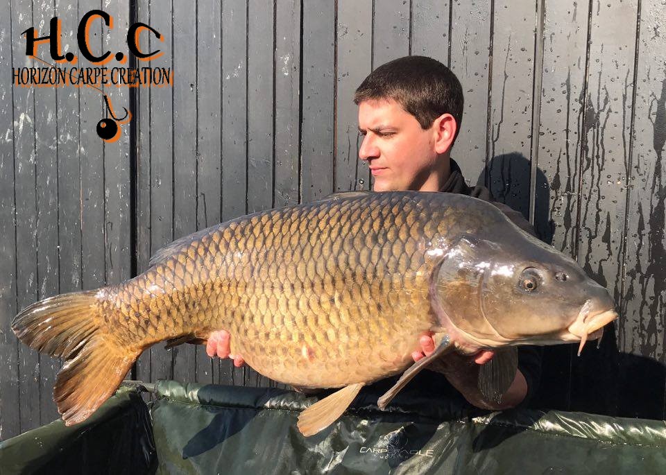 MICKAEL MACON - TESTEUR HCC