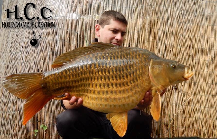 MICKAEL MACON - TESTEUR HCC