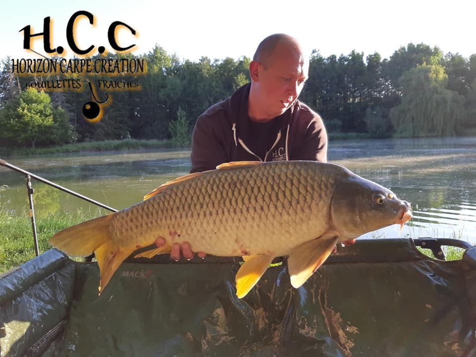 MIGUEL HERRMANN - TEAM HCC