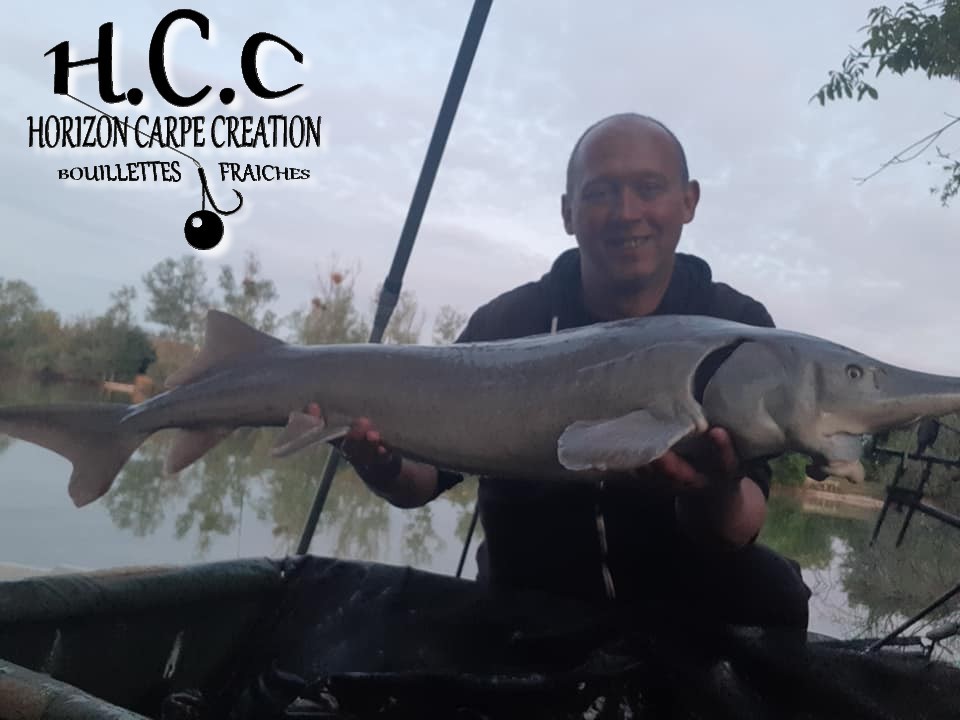MIGUEL HERRMANN - TEAM HCC
