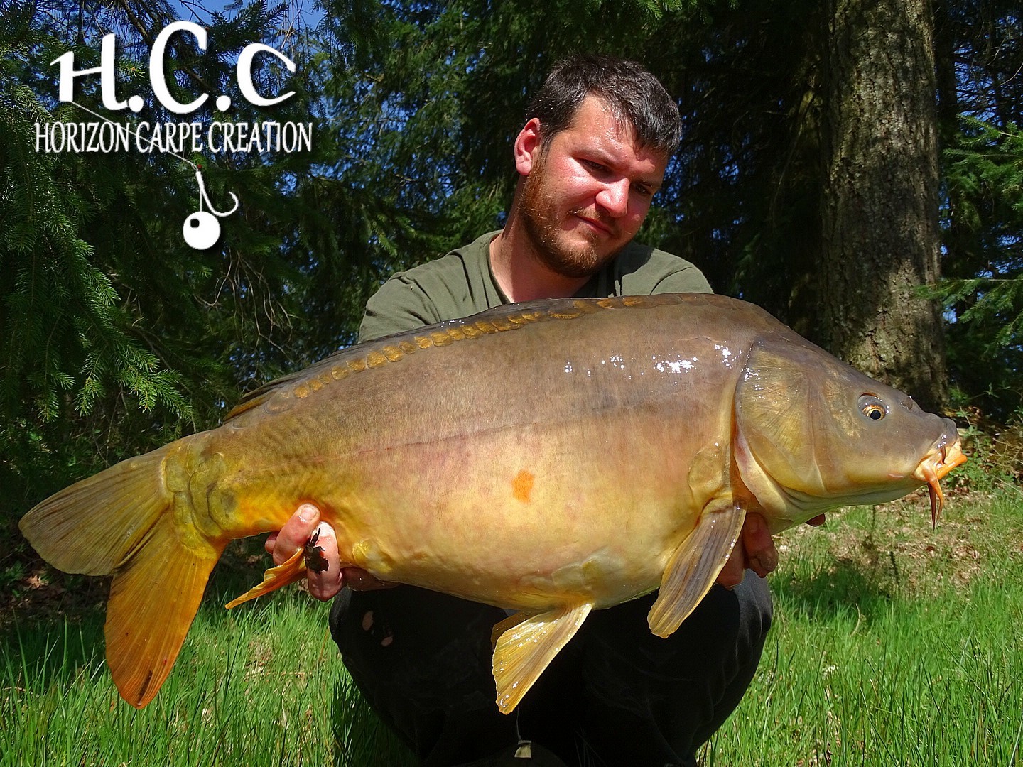 MICKAEL LAURENT - TESTEUR HCC