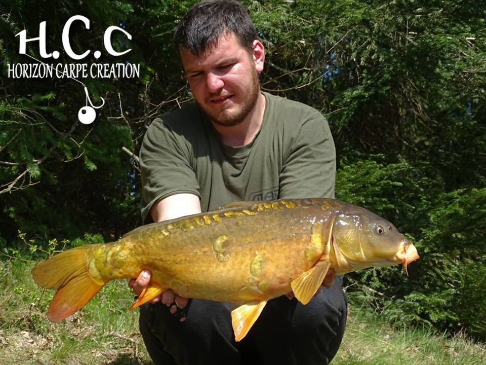 MICKAEL LAURENT - TESTEUR HCC