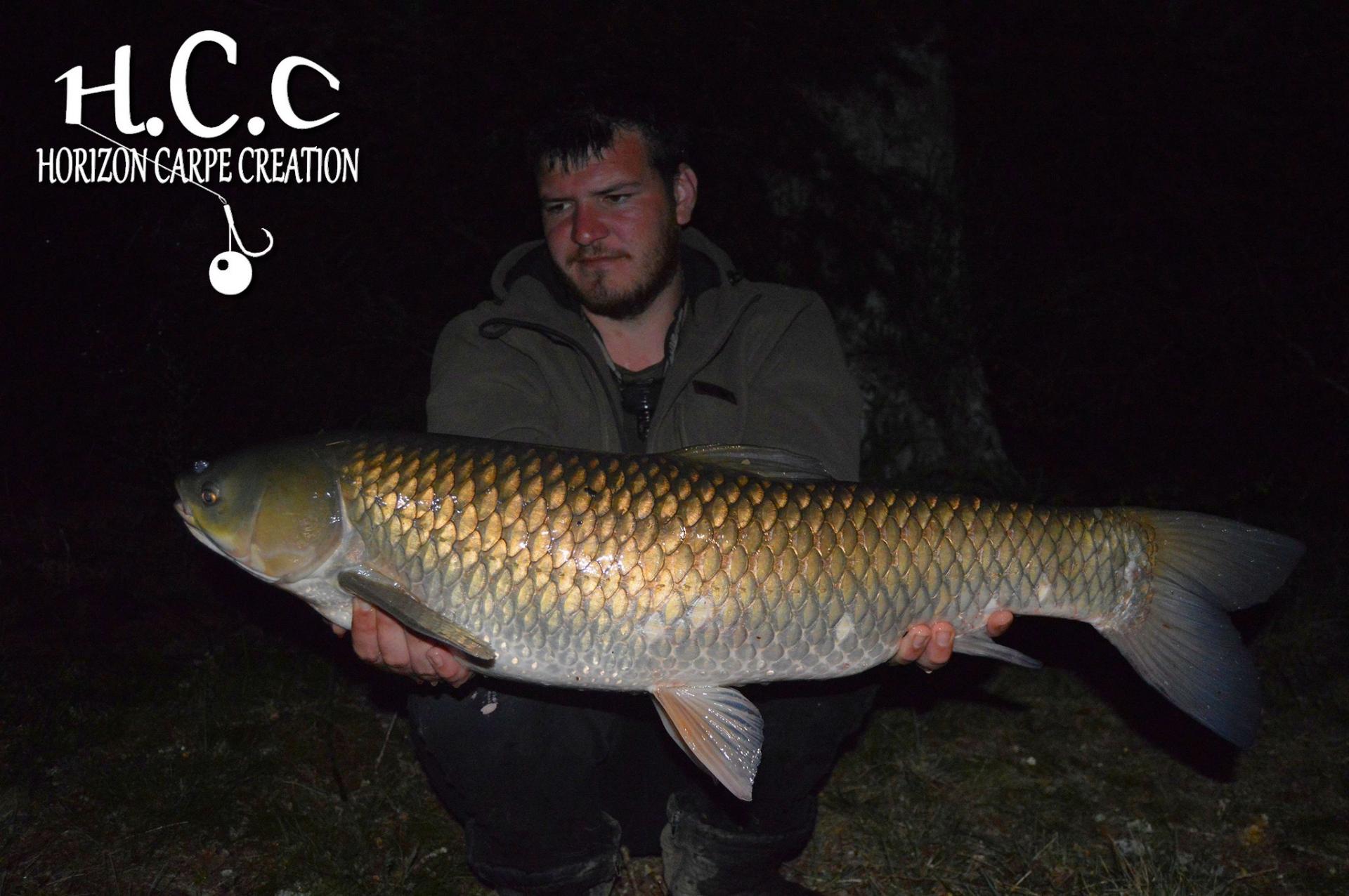 MICKAEL LAURENT - TESTEUR HCC