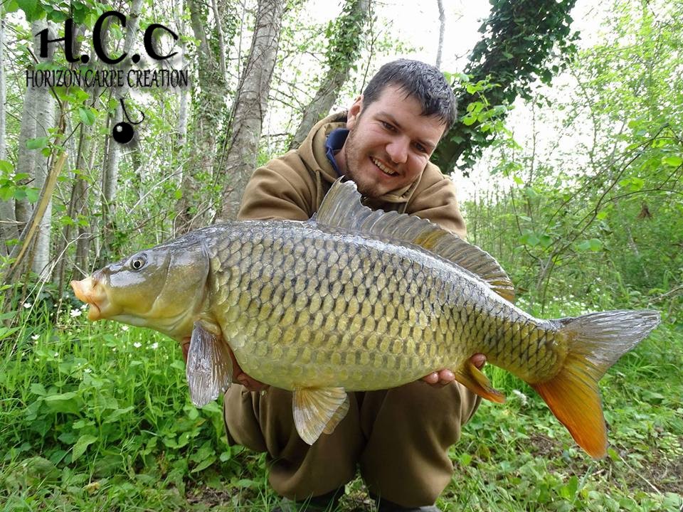 MICKAEL LAURENT - TESTEUR HCC
