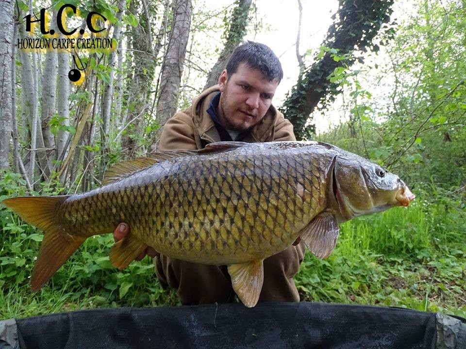 MICKAEL LAURENT - TESTEUR HCC