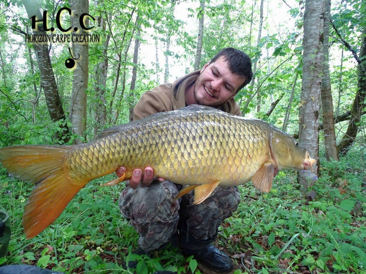 MICKAEL LAURENT - TESTEUR HCC