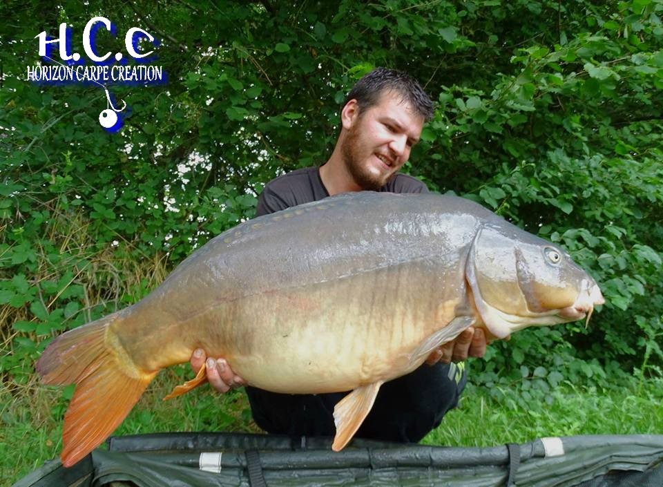 MICKAEL LAURENT - TESTEUR HCC