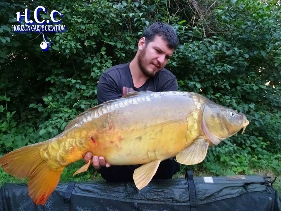 MICKAEL LAURENT - TESTEUR HCC