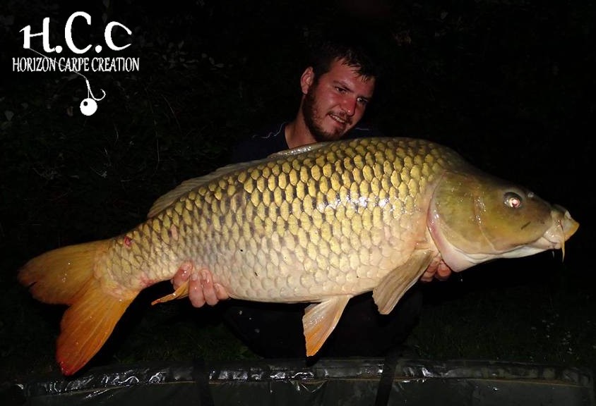 MICKAEL LAURENT - TESTEUR HCC