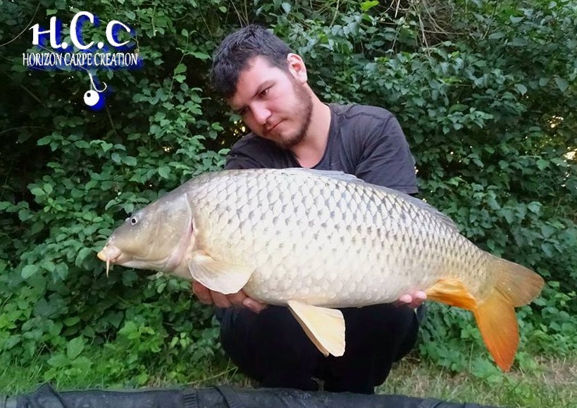 MICKAEL LAURENT - TESTEUR HCC
