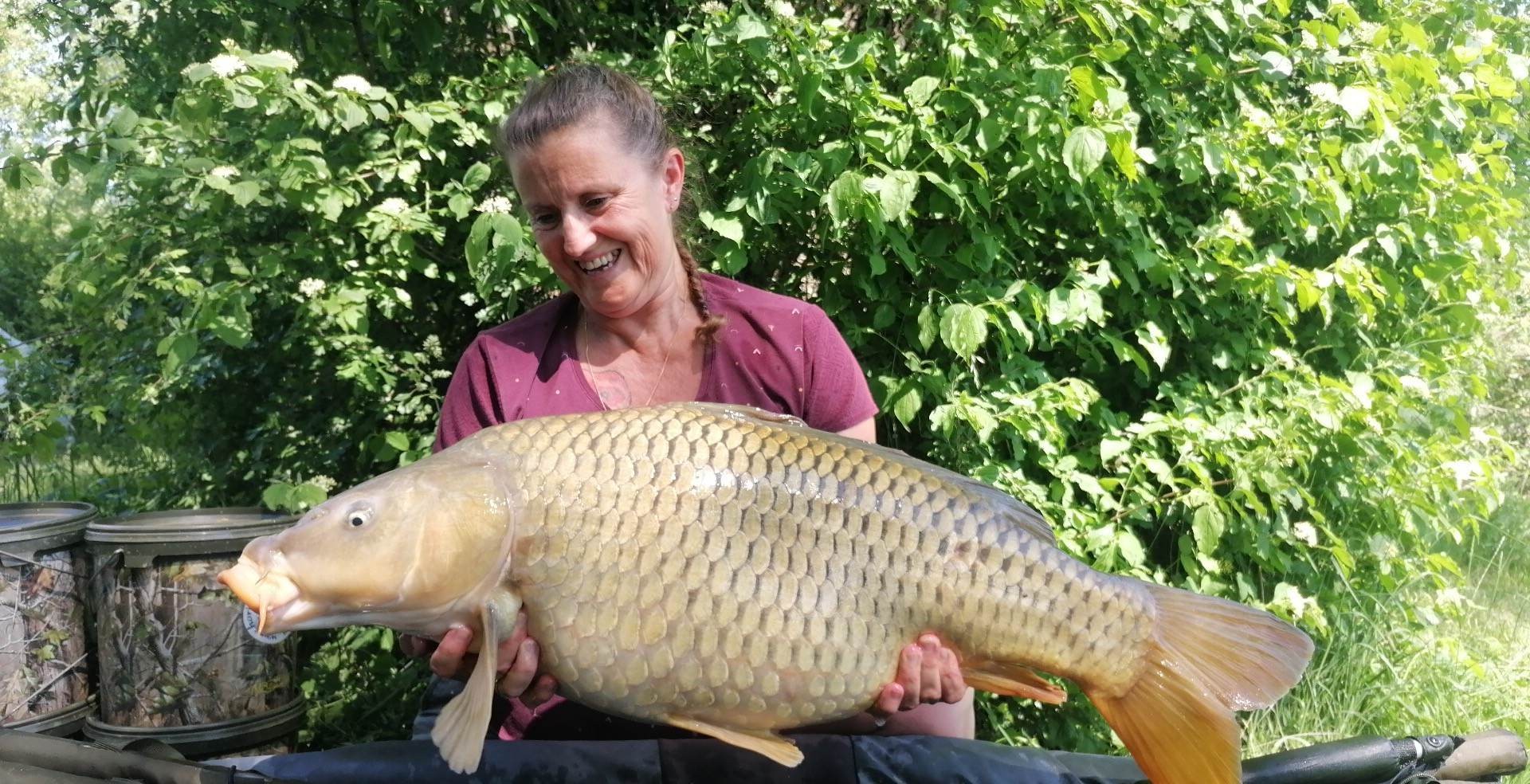 MYRIAM MONTEGU - HCC