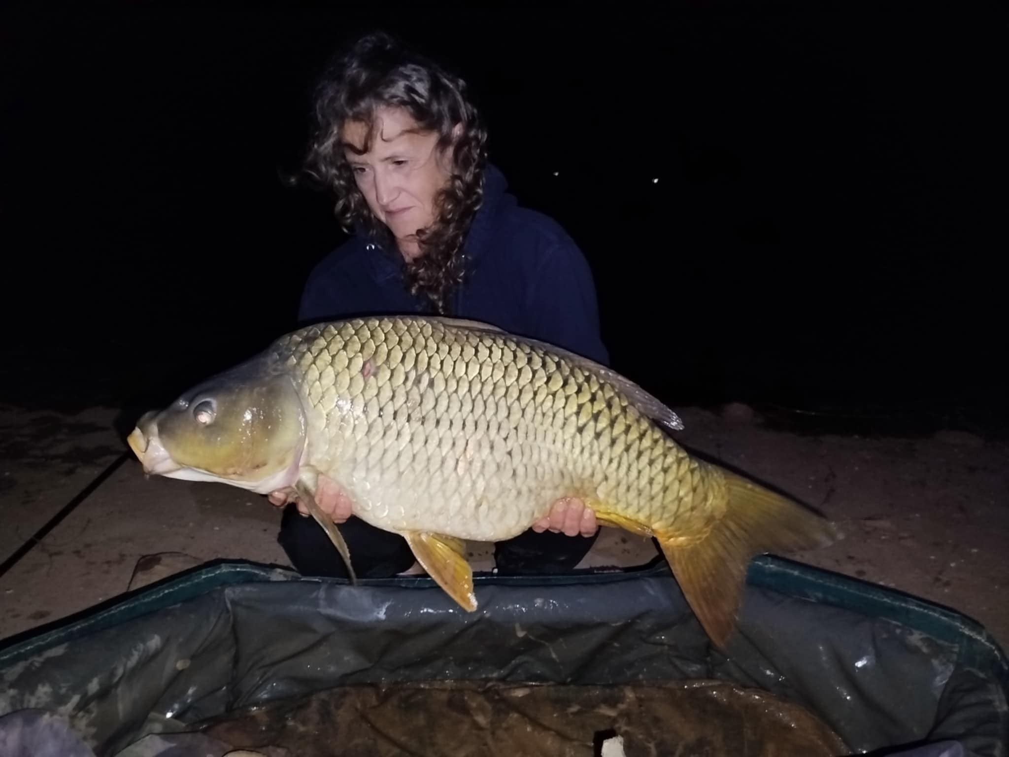MYRIAM MONTEGU - HCC