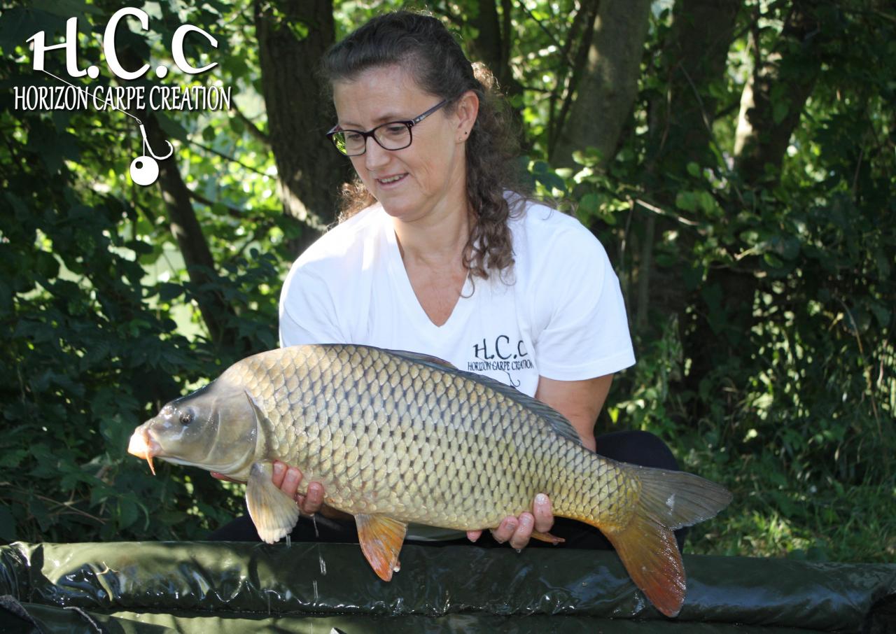 MYRIAM MONTEGU - HCC