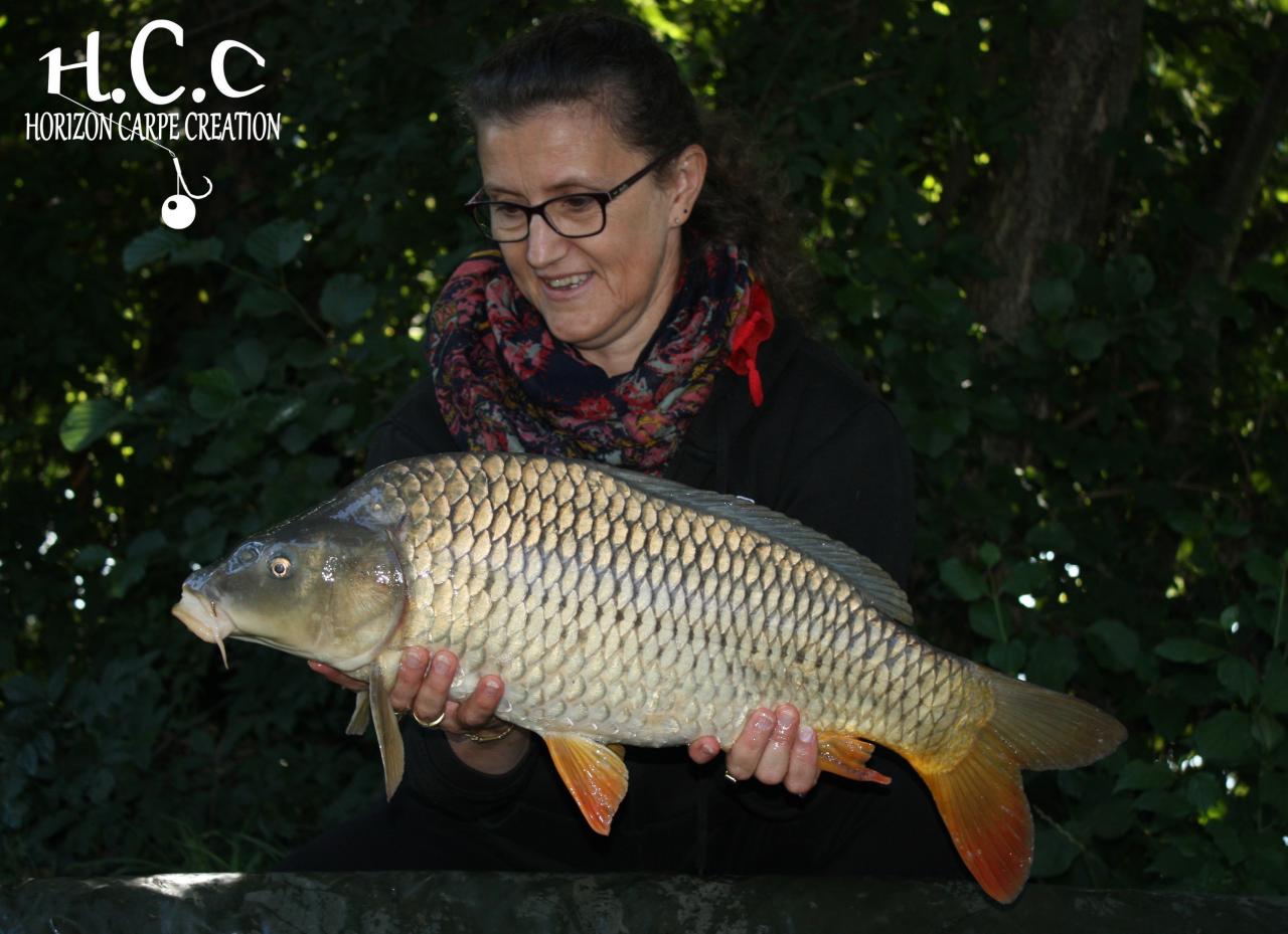 MYRIAM MONTEGU - HCC