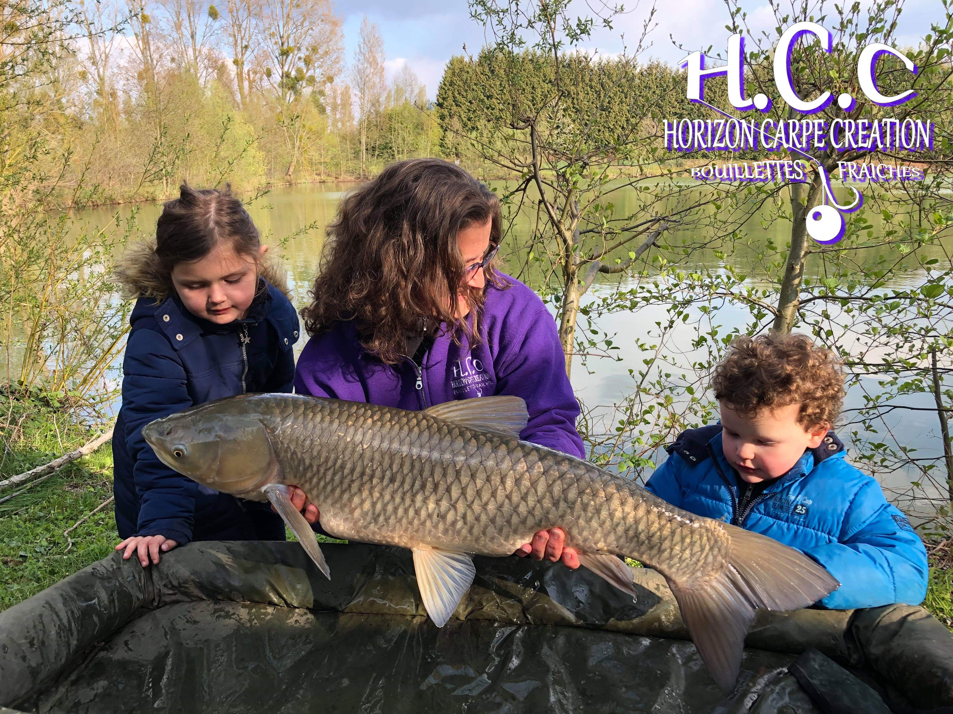 MYRIAM MONTEGU - HCC