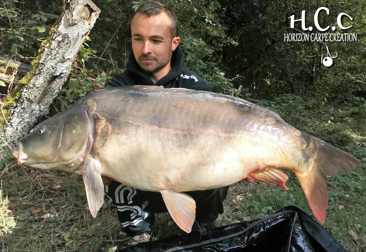 NICOLAS SAIL - CLIENT HCC