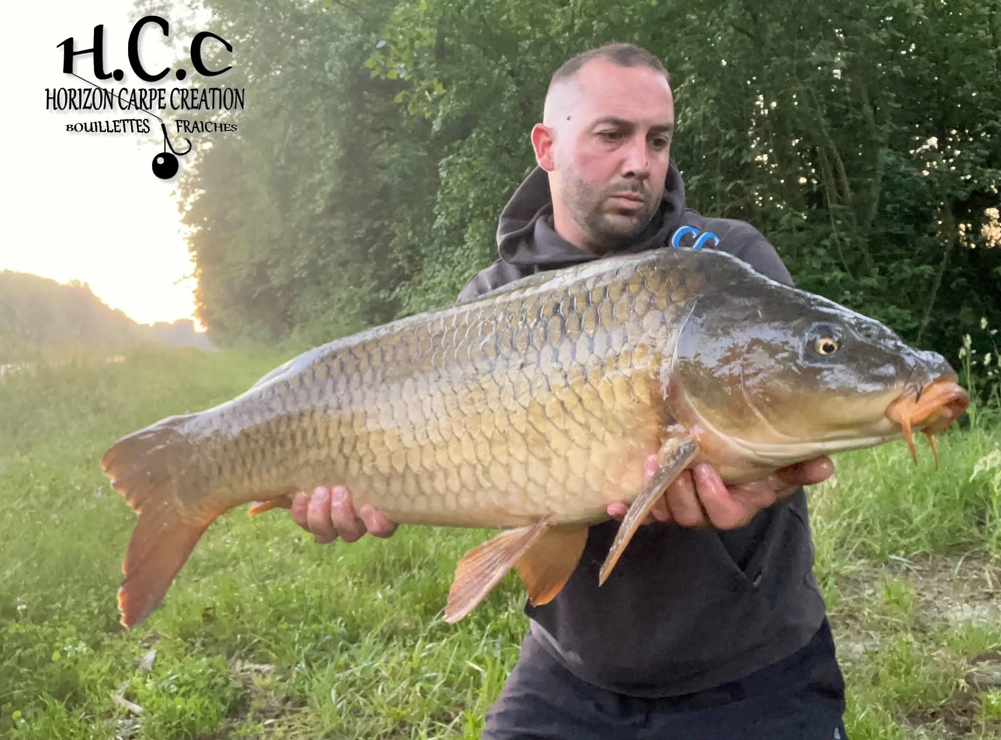 OLIVIER ROSINA - TESTEUR HCC