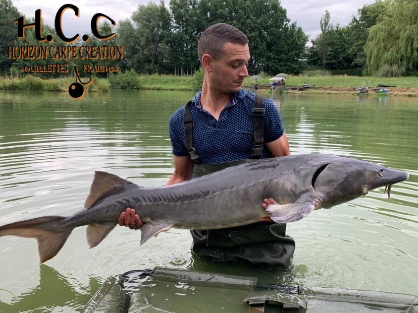 OLIVIER - PRODUIT TEST