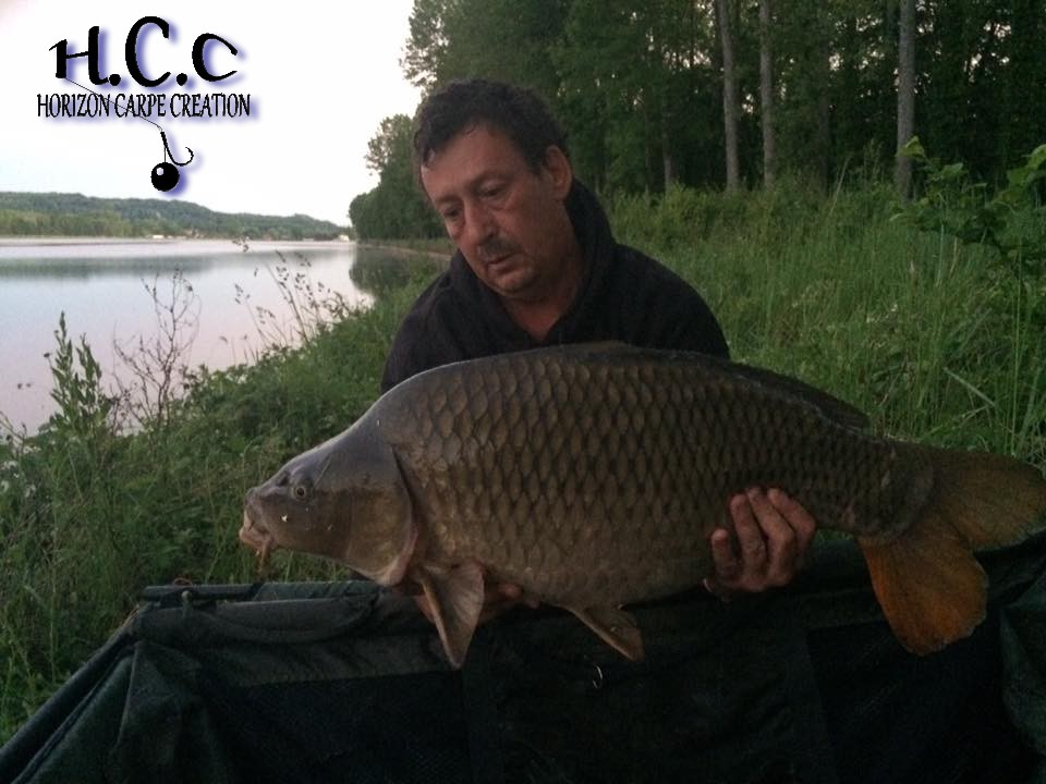 OLIVIER - CONSULTANT HCC