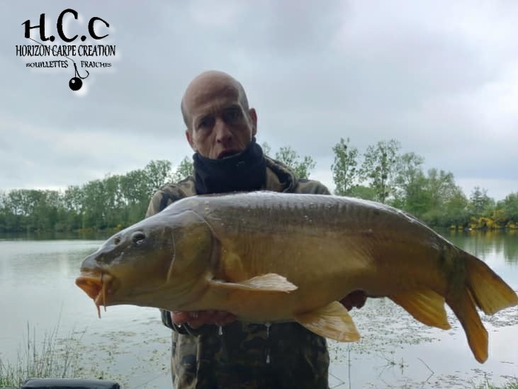 PATRICE BRAULT - CONSULTANT HCC