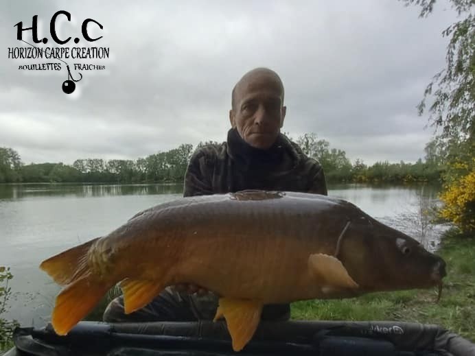 PATRICE BRAULT - CONSULTANT HCC