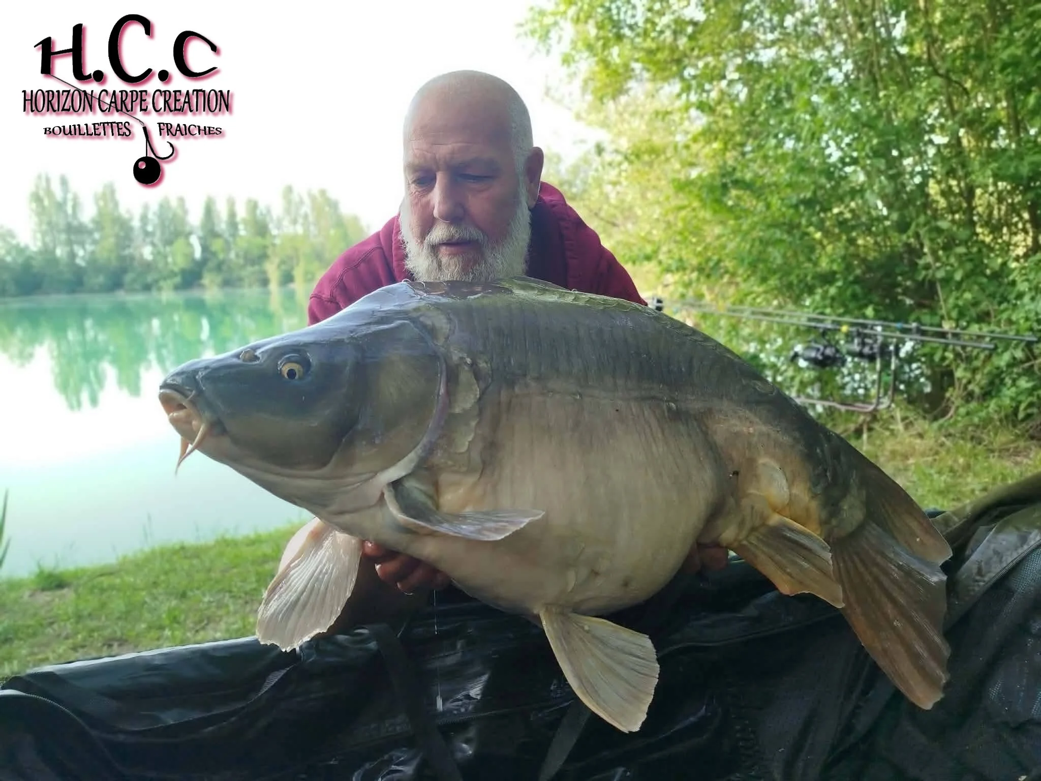 PHILIPPE MONTEGU - HCC