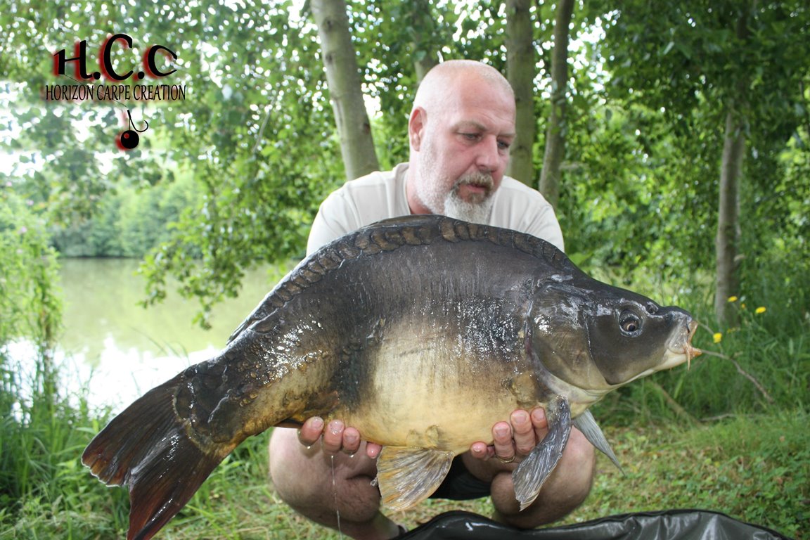 PHILIPPE MONTEGU - HCC