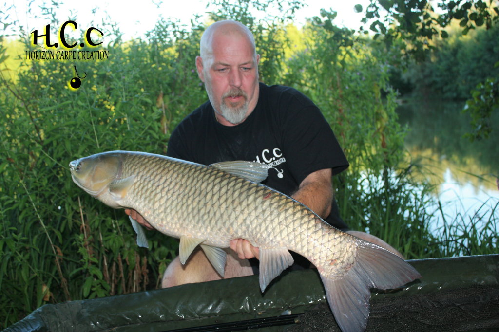 PHILIPPE MONTEGU - HCC