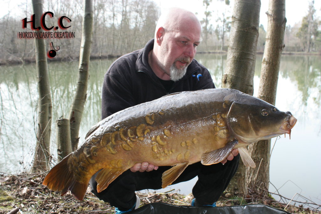 PHILIPPE MONTEGU - HCC
