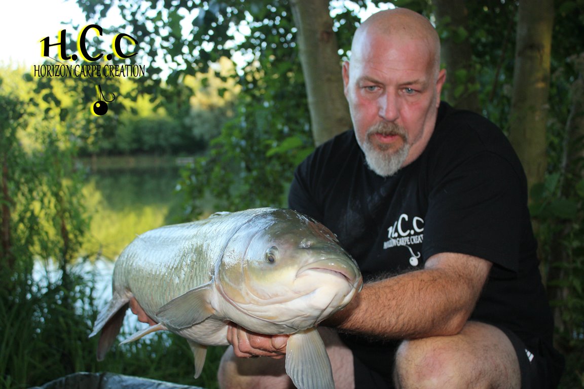 PHILIPPE MONTEGU - HCC
