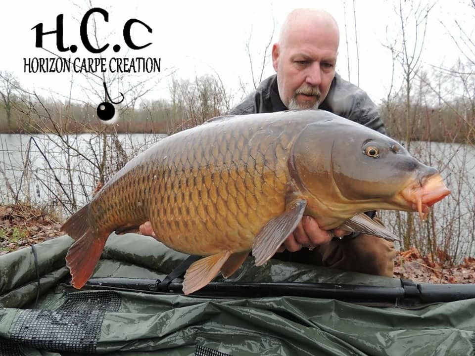 PHILIPPE MONTEGU - HCC